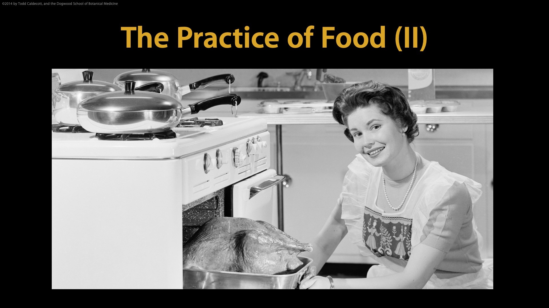 The Practice Of Food (II) | Food As Medicine | Dogwood School Of ...