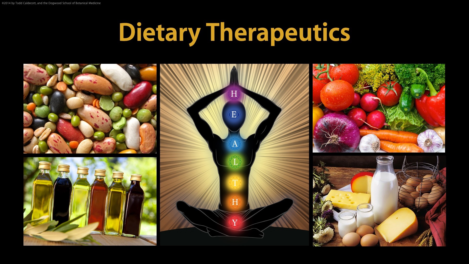 Dietary Therapeutics | Food As Medicine | Dogwood School Of Botanical ...