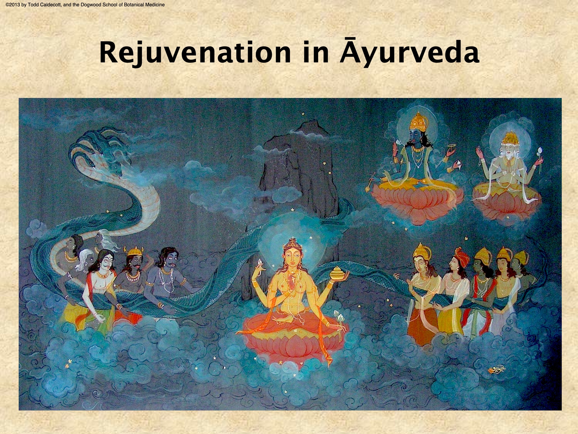 Rejuvenation in Āyurveda Dogwood School of Botanical Medicine