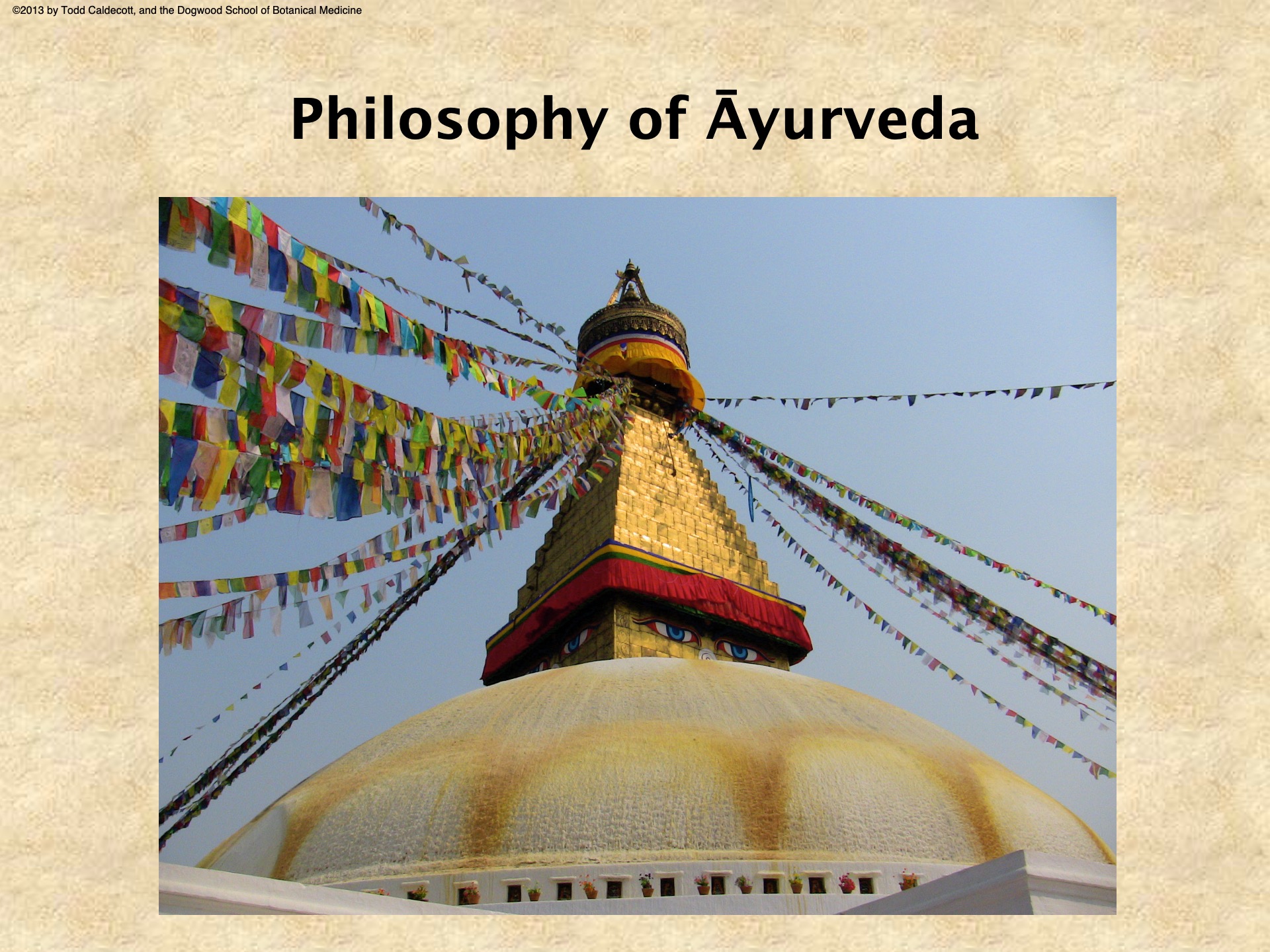 Philosophy of Āyurveda Dogwood School of Botanical Medicine