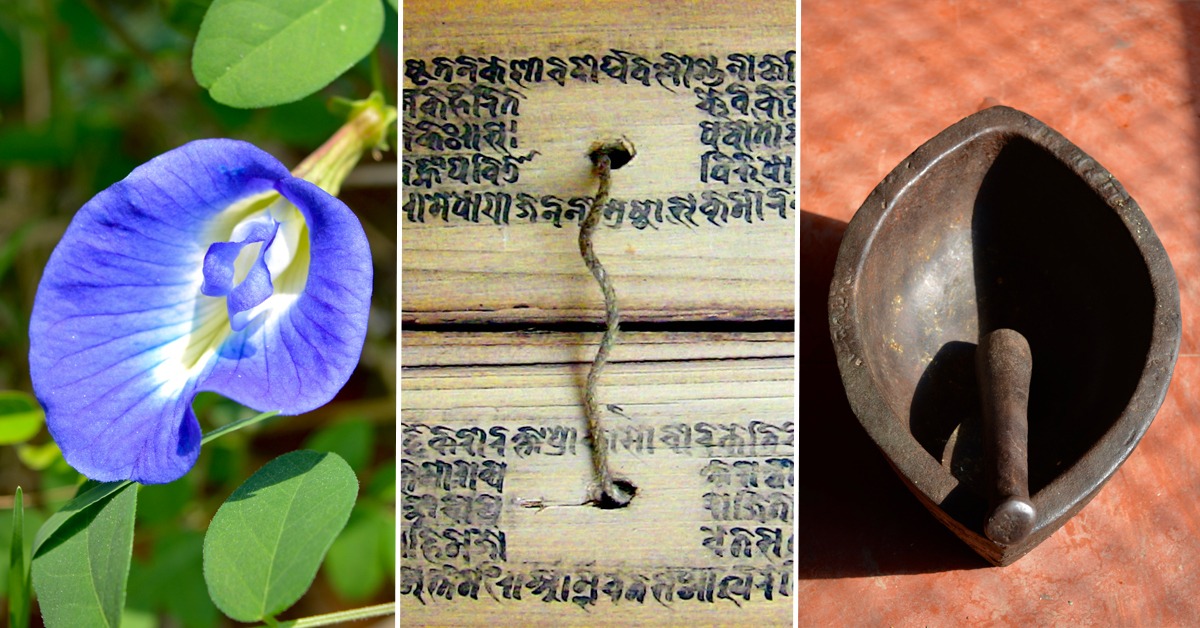 Dogwood School of Botanical Medicine | Ayurveda & Herbal Education Online