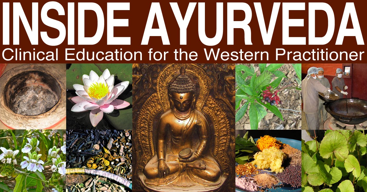Inside Ayurveda online study program Dogwood School of Botanical Medicine