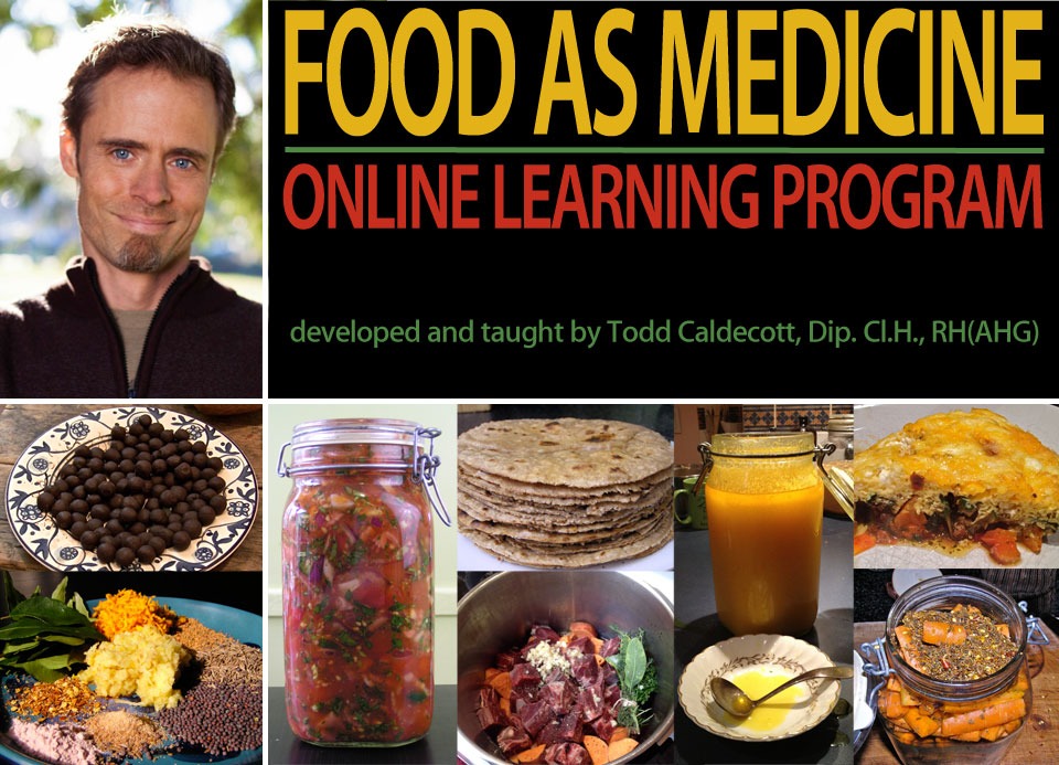 Food As Medicine | Landing Pages | Dogwood School Of Botanical Medicine