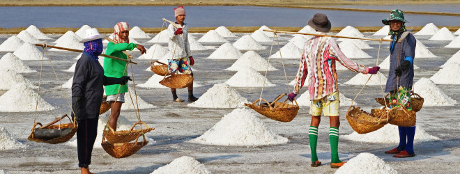 Let them eat salt!