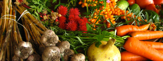 Free preview of Food As Medicine