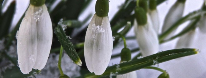 Putting an end to seasonal allergies