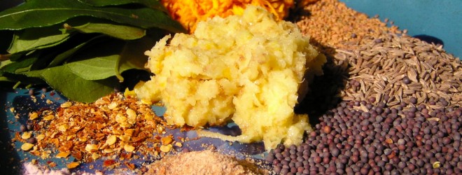 12 culinary herbs… a free lecture