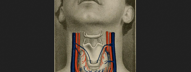 Understanding thyroid issues