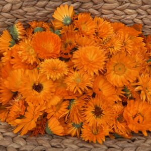 Calendula oil