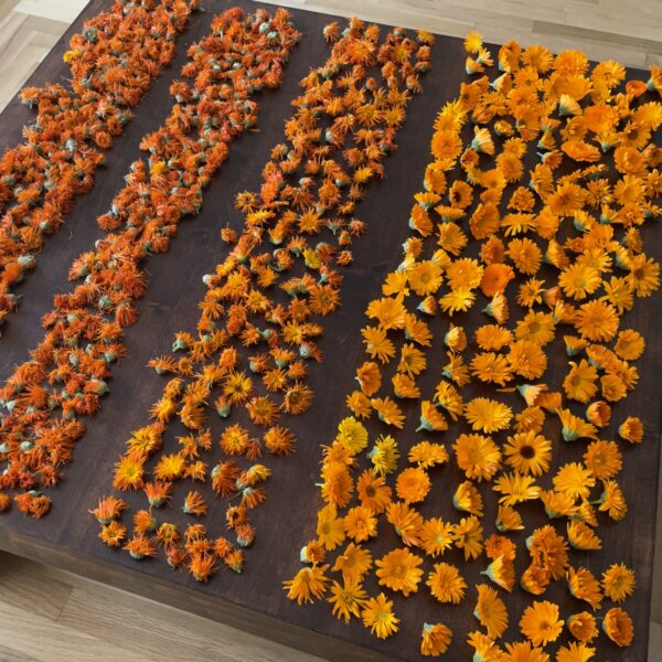 Calendula oil - Image 2